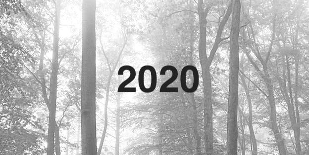 2020年好きだったアルバムTOP10